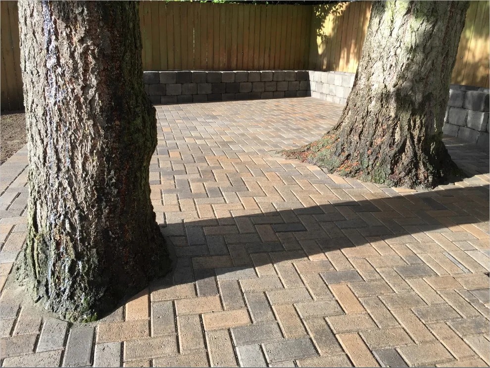 Elevated Flower Bed Back Patio by Xavier Pavers - Photo 5