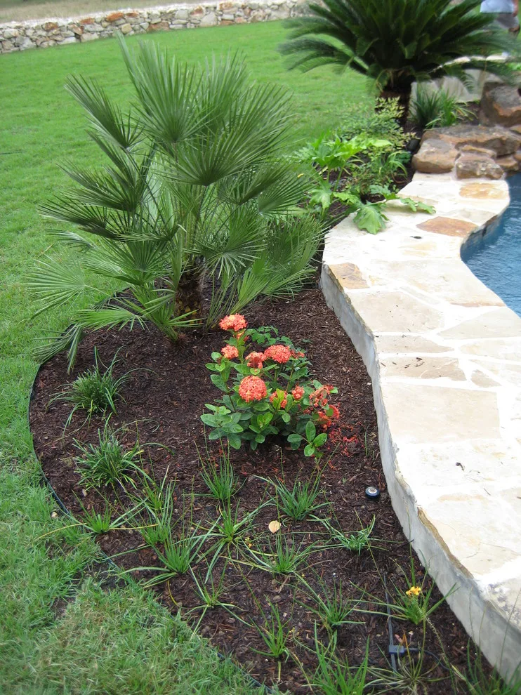 Home Putting Green and Swimming Pool by Marula Landscape & Design - Photo 6