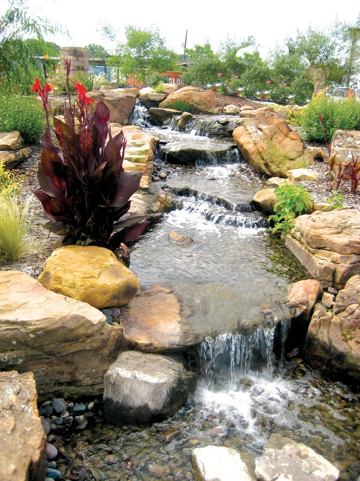 Whiz-Q Stone - Photo 14