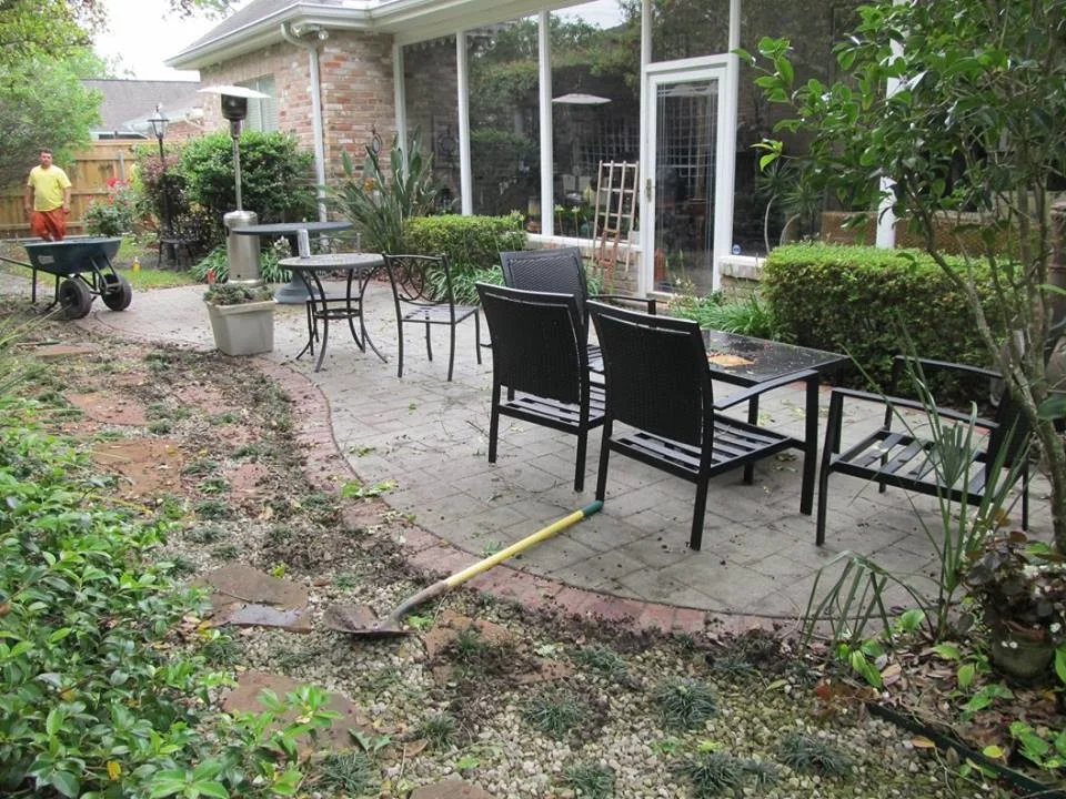 Before and After Images by Stepping On Stones - Photo 12