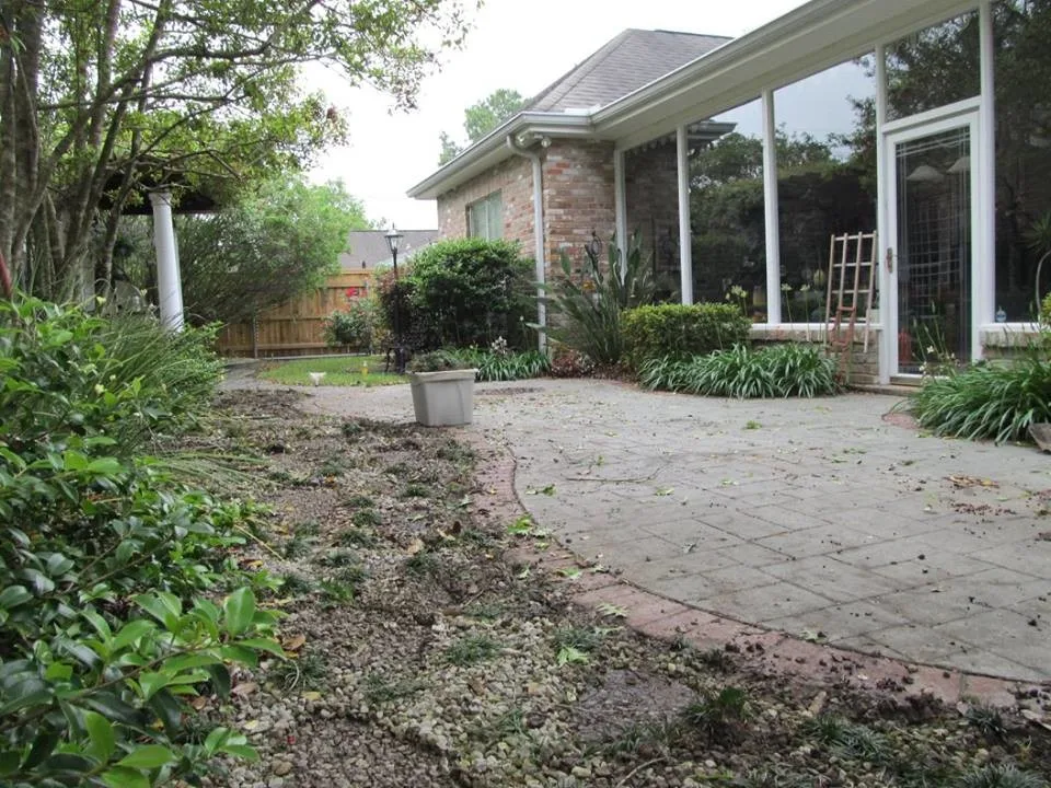 Before and After Images by Stepping On Stones - Photo 17