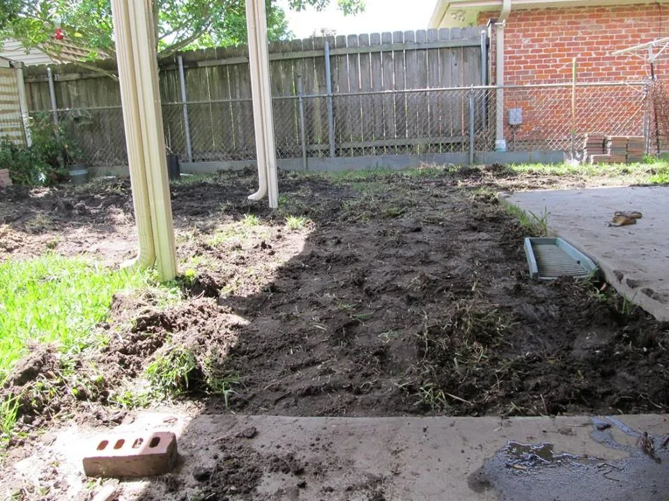 Before and After Images by Stepping On Stones - Photo 7