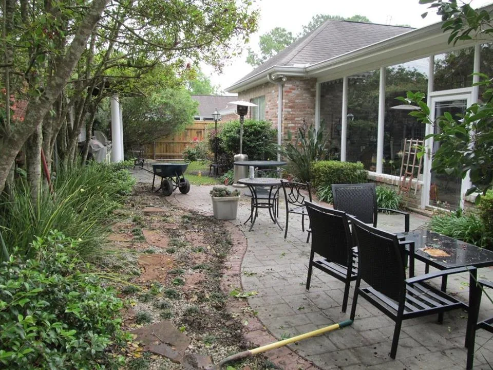 Before and After Images by Stepping On Stones - Photo 6