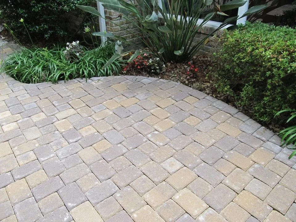 Before and After Images by Stepping On Stones - Photo 11