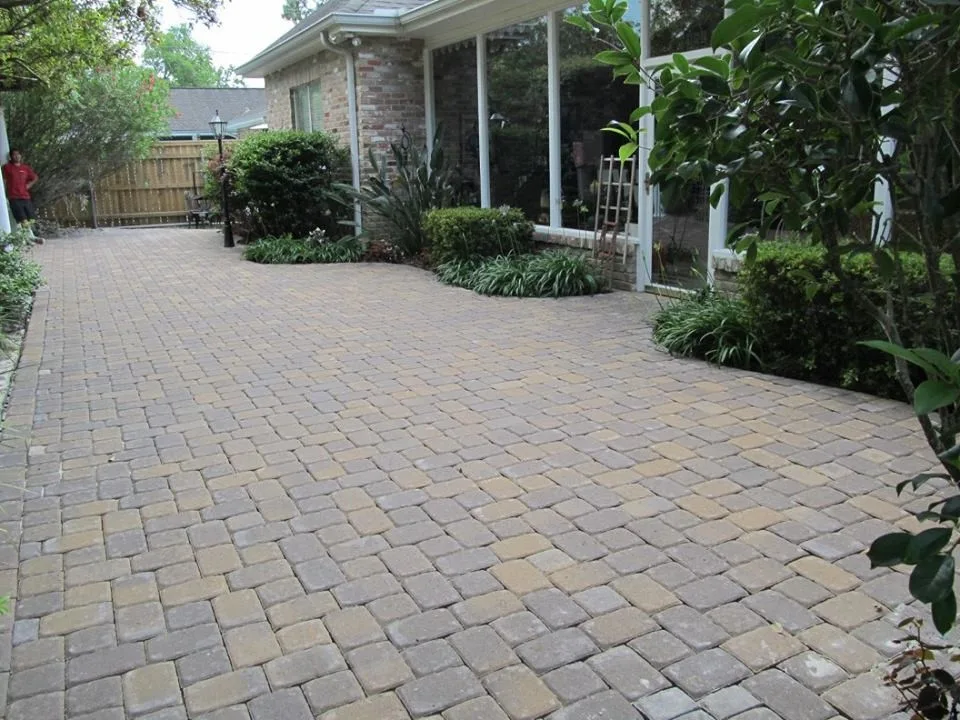 Before and After Images by Stepping On Stones - Photo 8
