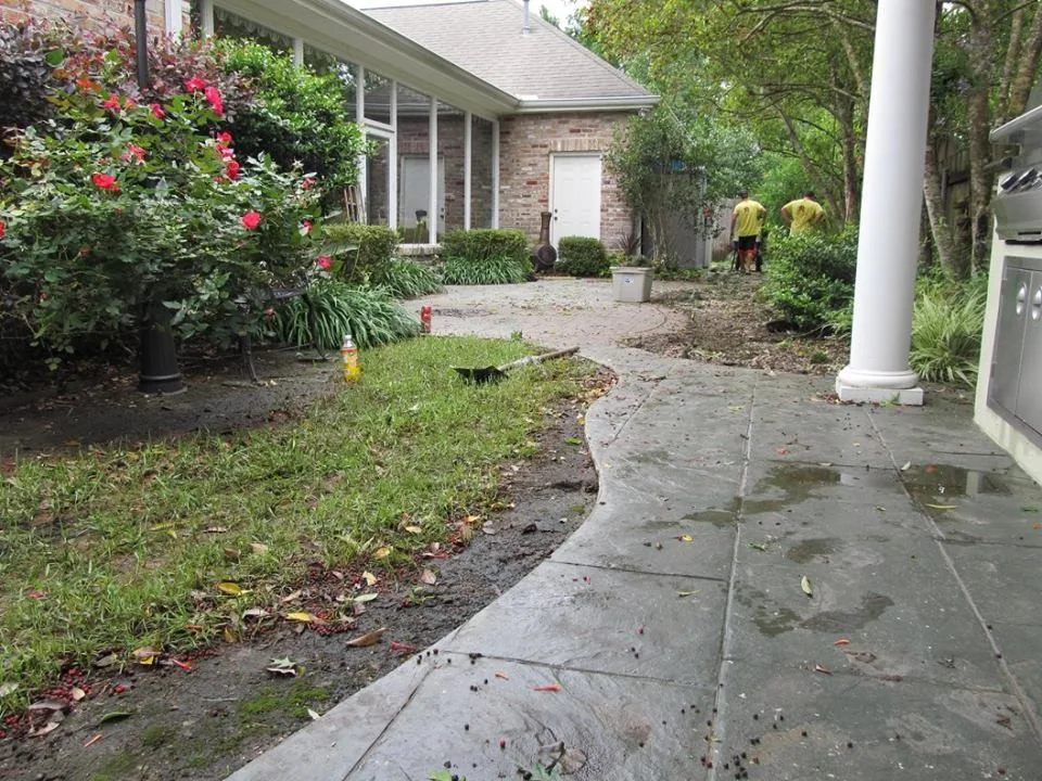 Before and After Images by Stepping On Stones - Photo 22