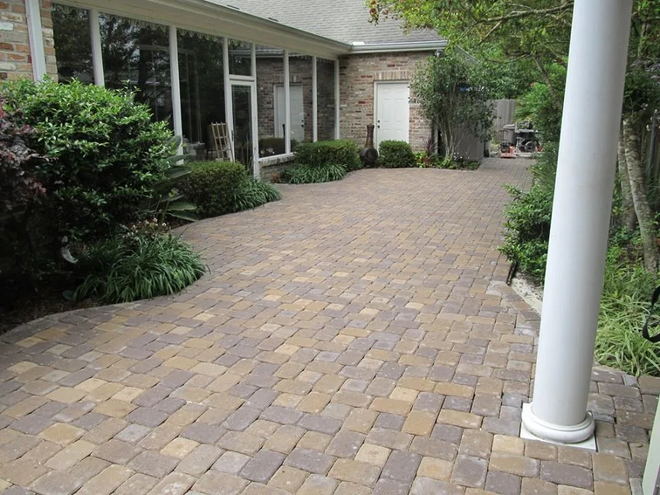 Before and After Images by Stepping On Stones - Photo 21