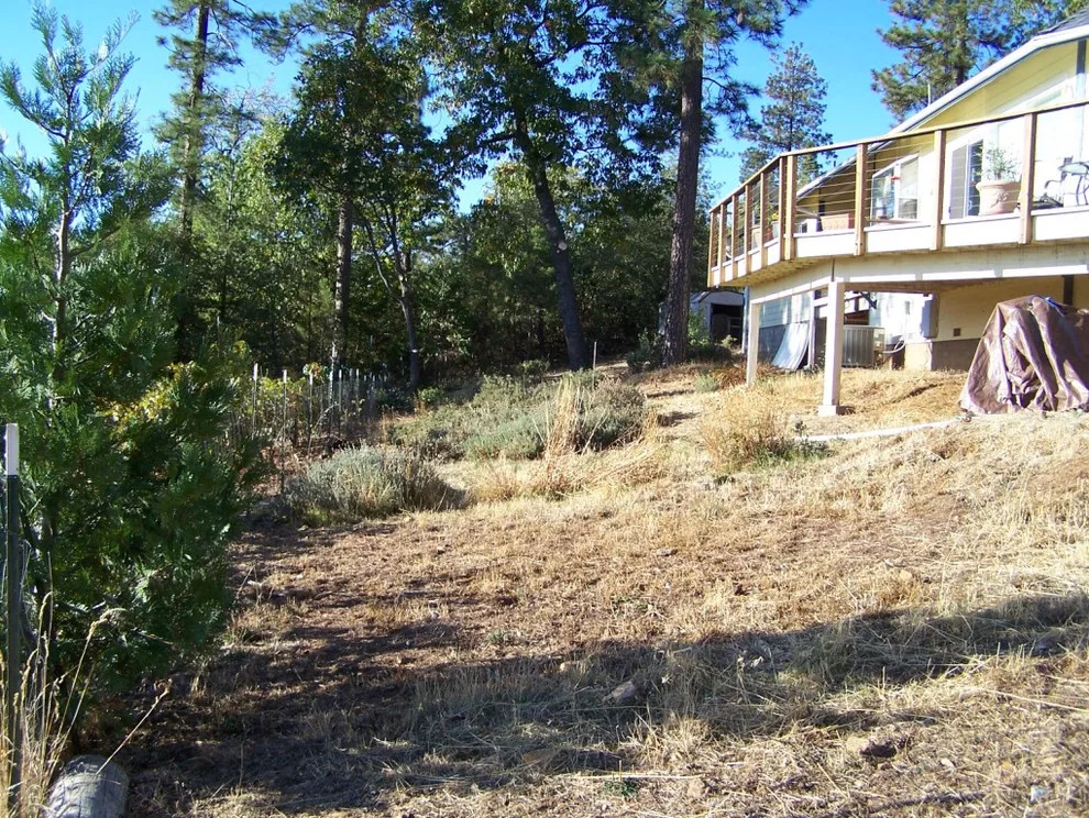 Hillstone Landscape And Grading - Photo 9