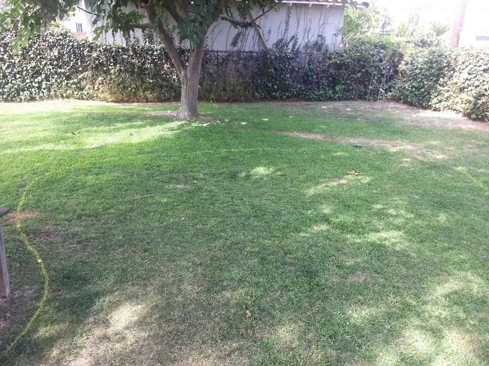 Downey Initiative by Dave Pratt Designs And Consulting - Photo 3