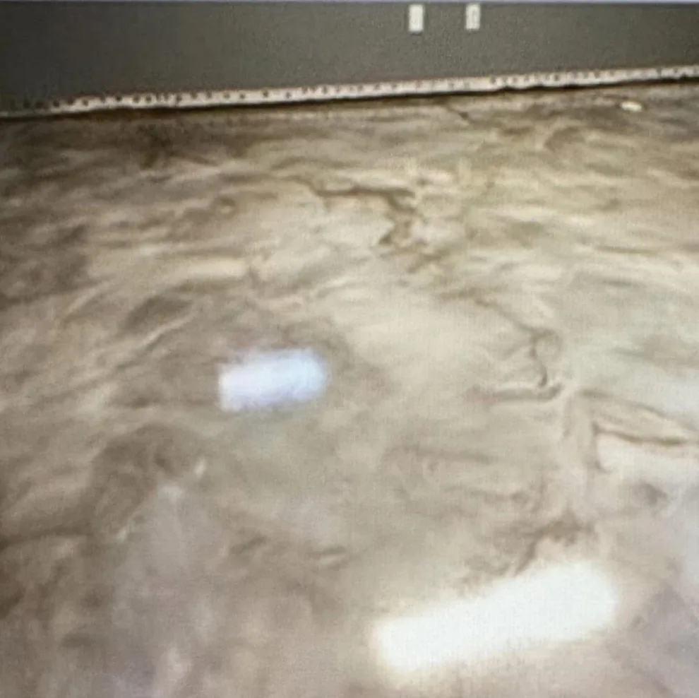 Reflective Epoxy Concrete Flooring Enhancement by Decorative Concrete Designer LLC - Photo 43