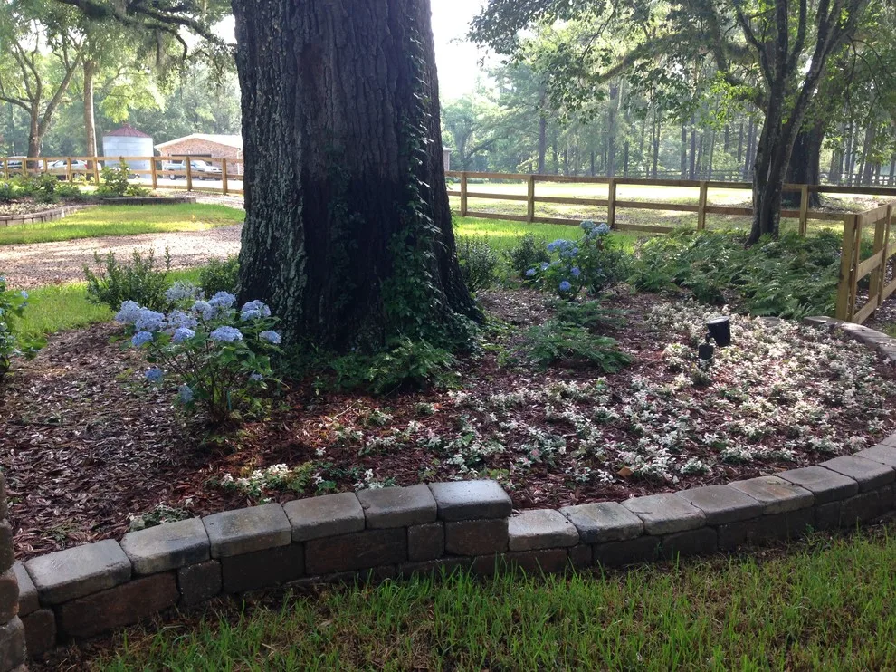 Havana Initiative by NeSmith Landscapes - Photo 3