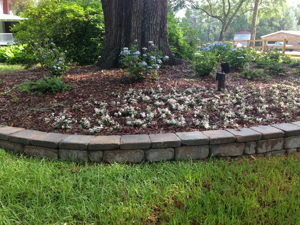 Havana Initiative by NeSmith Landscapes - Photo 10