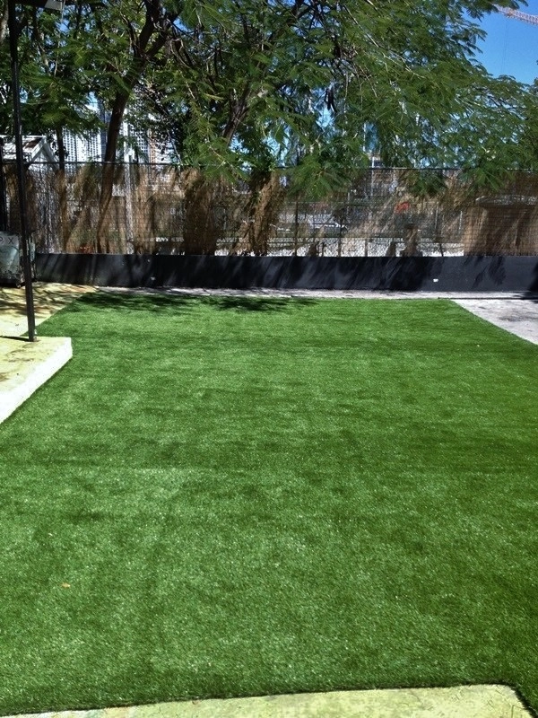Landscaping by Synthetic Lawns Of Florida - Photo 8