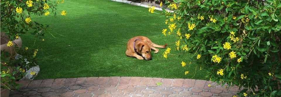 Synthetic Lawns Of Florida - Photo 5