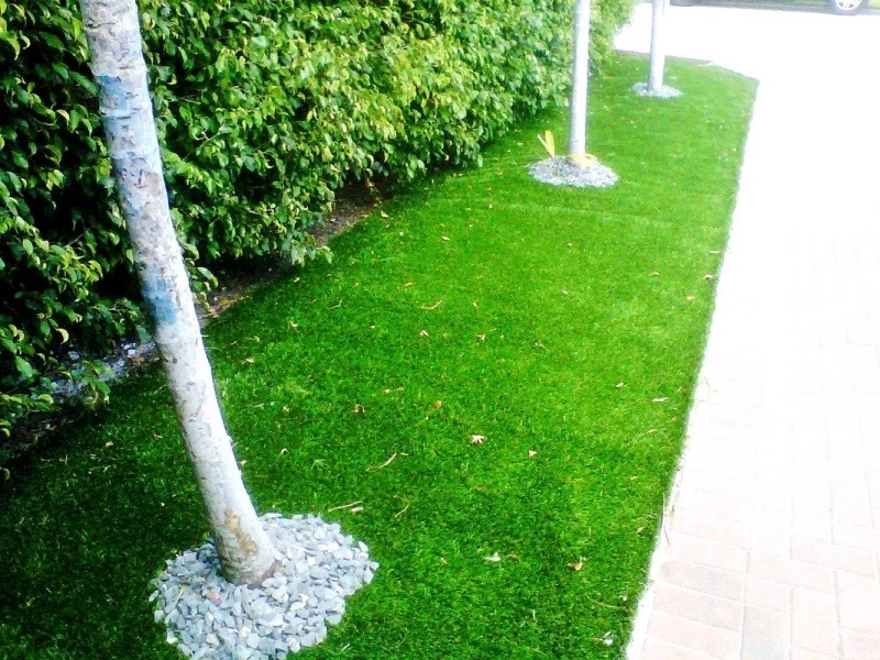 Landscaping by Synthetic Lawns Of Florida - Photo 11