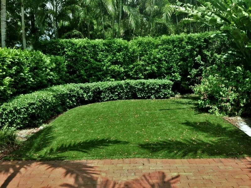 Synthetic Lawns Of Florida - Photo 12