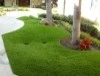 Playgrounds by Synthetic Lawns Of Florida - Photo 8