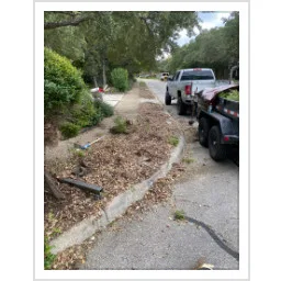 Scenery by Custom Backyard Builders LLC - Photo 6