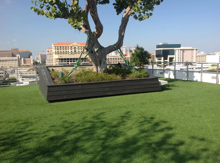 Rooftops by Synthetic Lawns Of Miami - Photo 4
