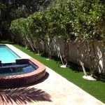 Residential by Synthetic Lawns Of Miami - Photo 3
