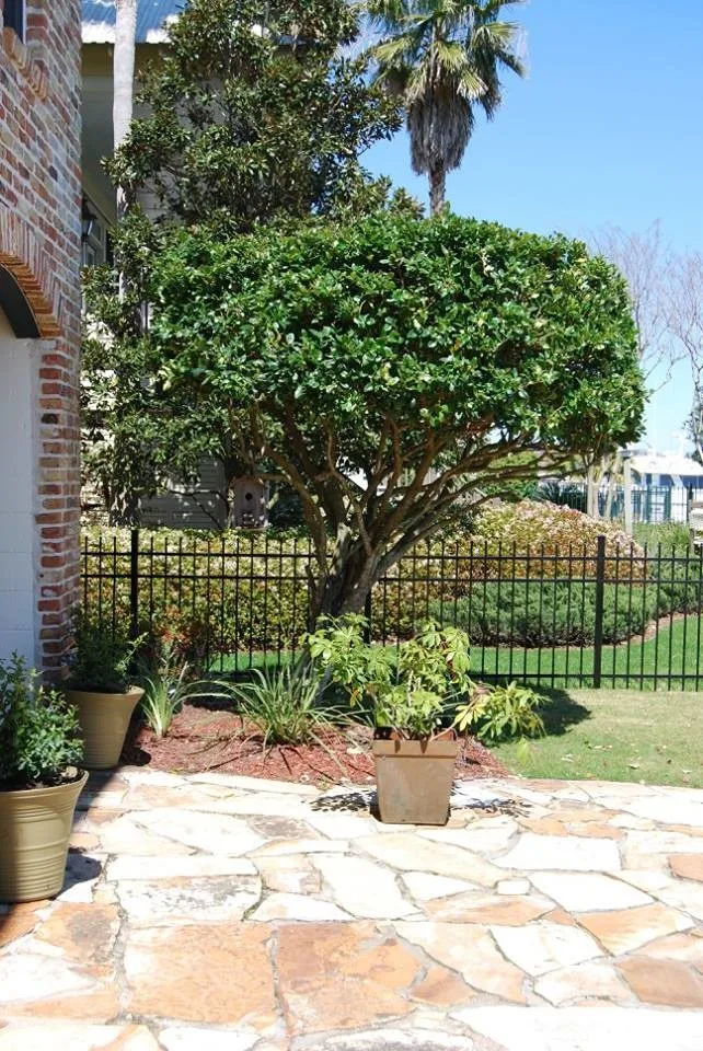 Tailored Stone Hardscape by Stepping On Stones - Photo 33
