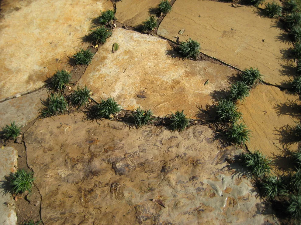 Marula Landscape & Design - Photo 6