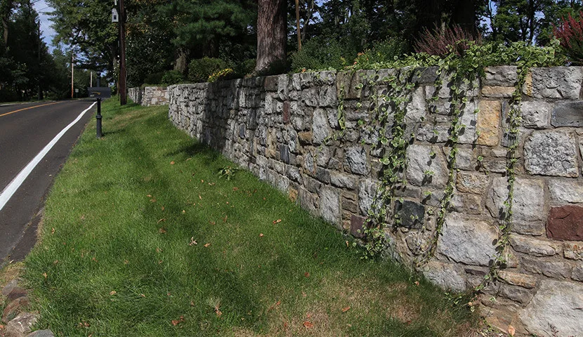 Recent Development by Ettore Masonry Inc. - Photo 5
