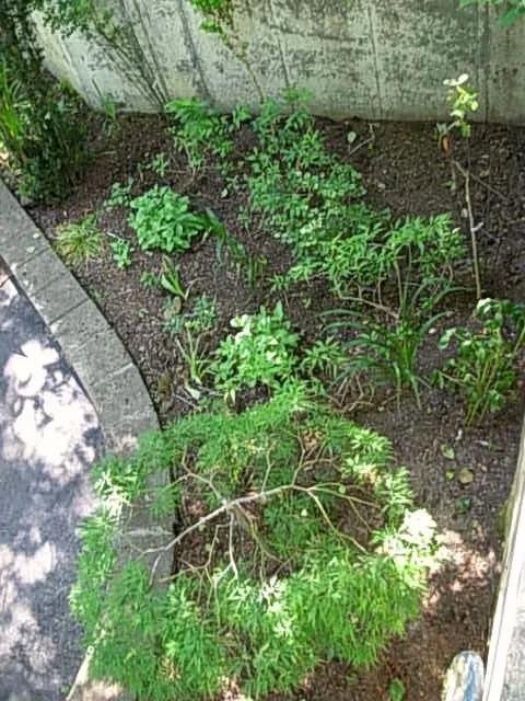 Our Home by the River by Clatsop Concrete - Photo 4