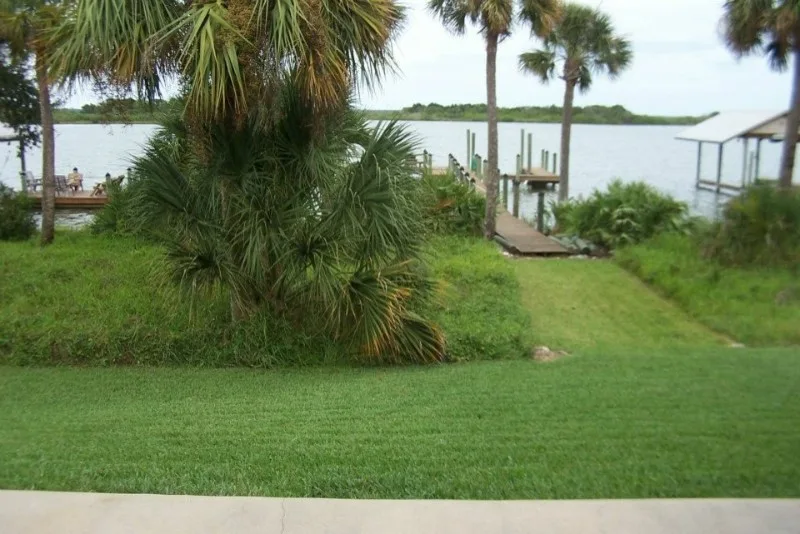 Cypress Creek Outdoors - Photo 10