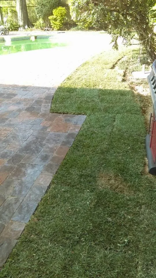 Pavertime-Pavers And General Construction - Photo 11