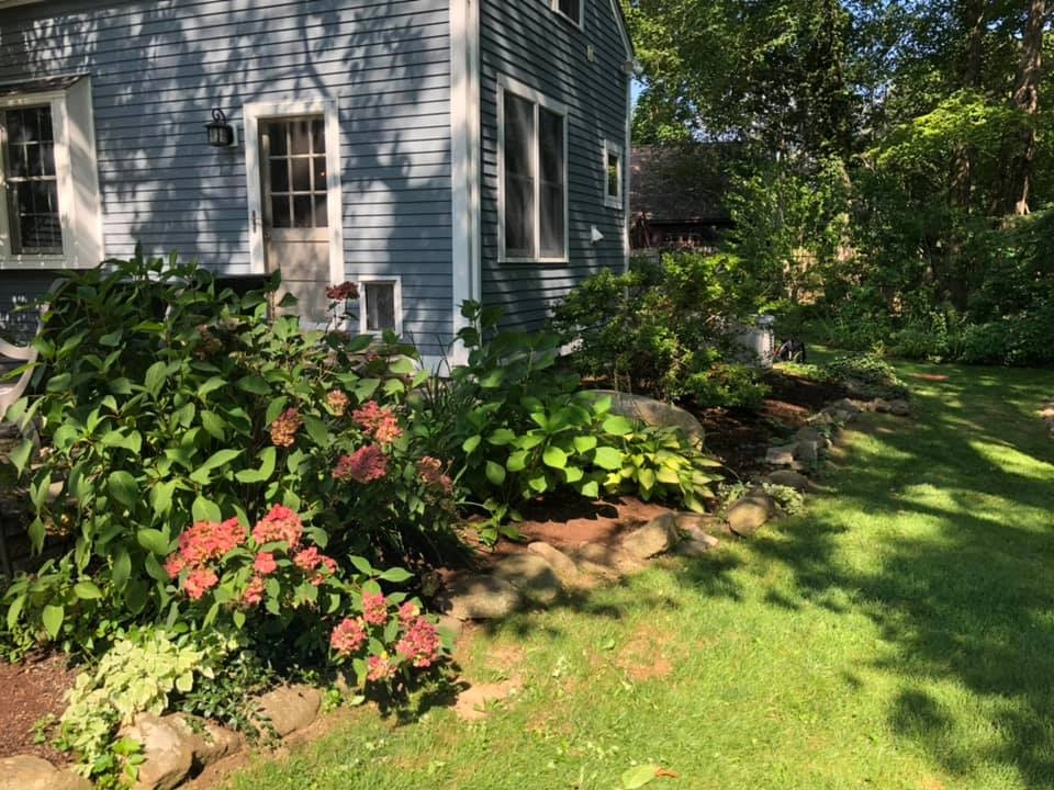 Shrub and Plant Installation by Tate's Property Care, LLC - Photo 2