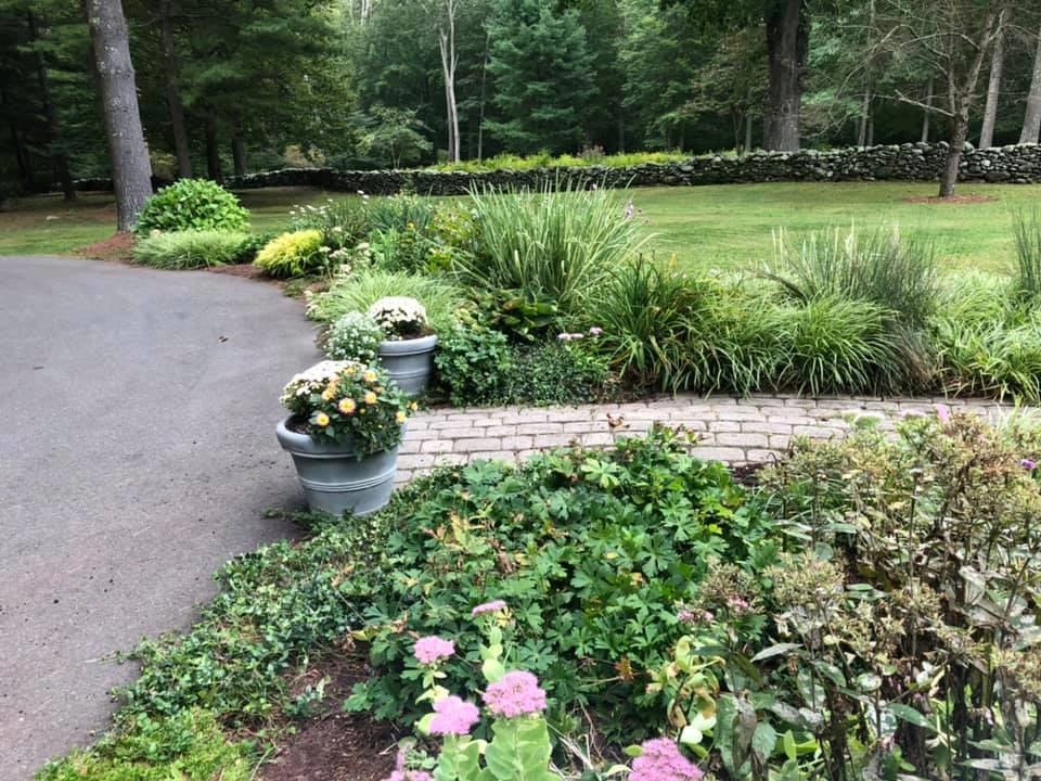 Shrub and Plant Installation by Tate's Property Care, LLC - Photo 4