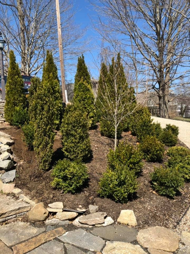 Tate's Property Care, LLC - Photo 9