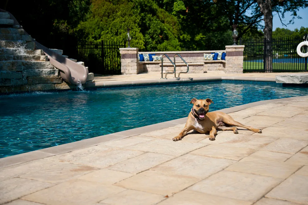 Yorkstone Swimming Pool Deck by Strictly Stone, Inc. - Live Outdoors - Photo 8