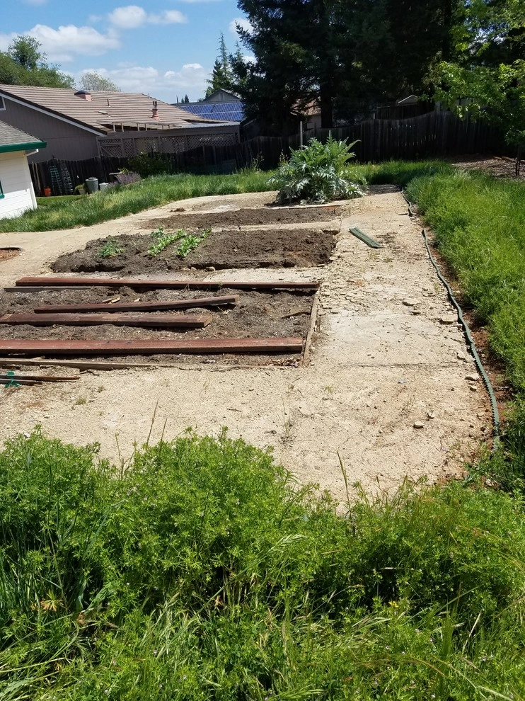 Backyard Remodel by Tc Landscape Construction And Maintenance Inc - Photo 7