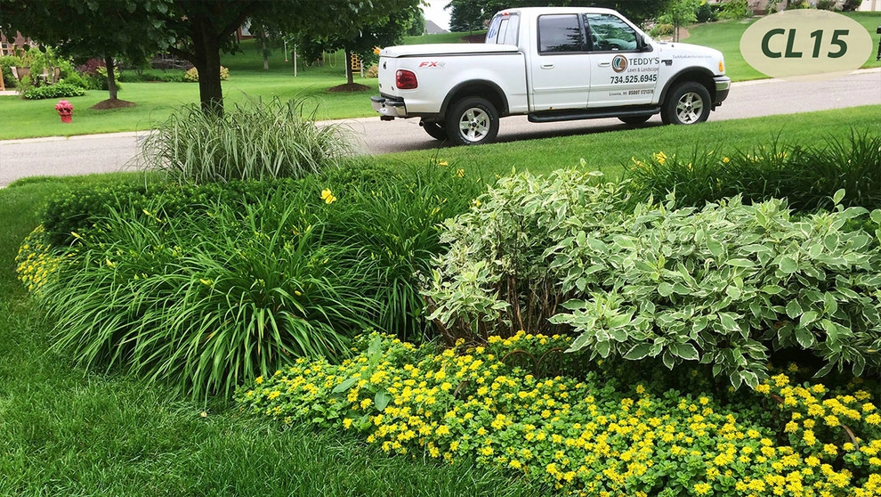 Complete Landscaping by Teddy's Lawn & Landscape - Photo 10