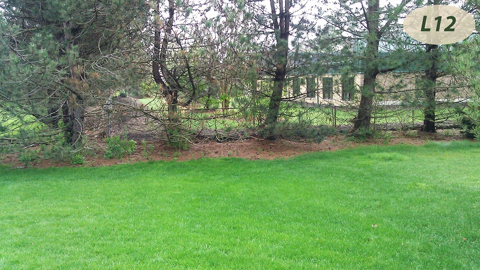 Lawn Care by Teddy's Lawn & Landscape - Photo 6
