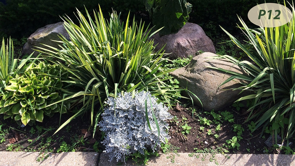 Plantings by Teddy's Lawn & Landscape - Photo 9
