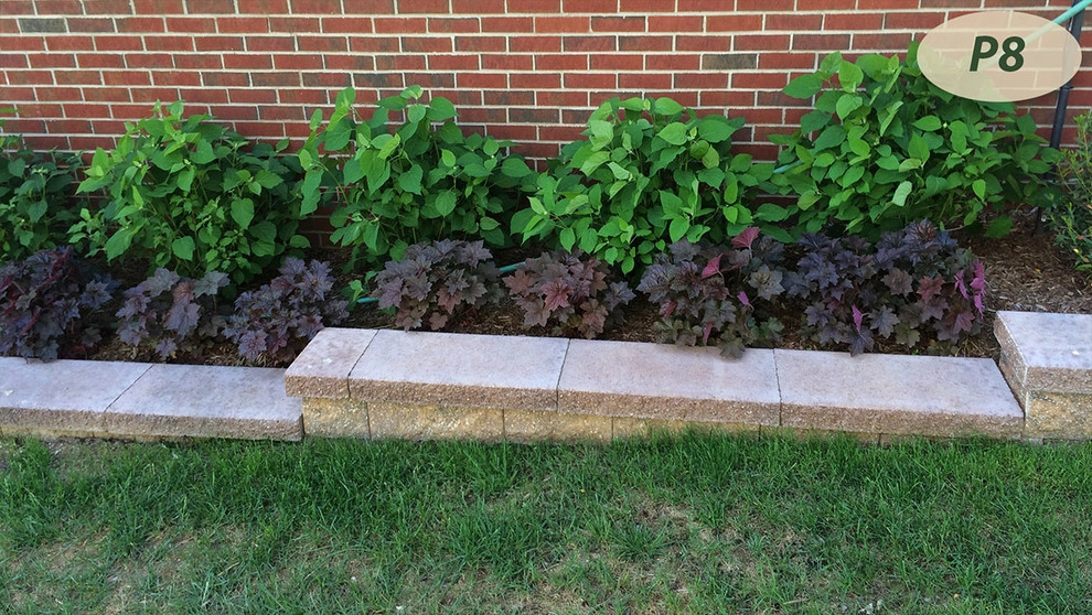 Plantings by Teddy's Lawn & Landscape - Photo 10
