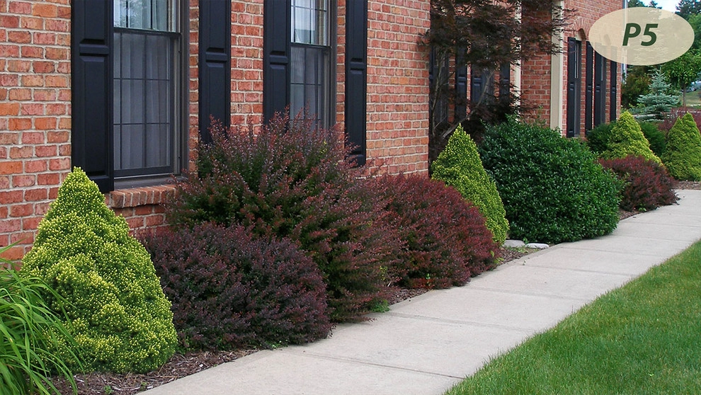 Plantings by Teddy's Lawn & Landscape - Photo 6