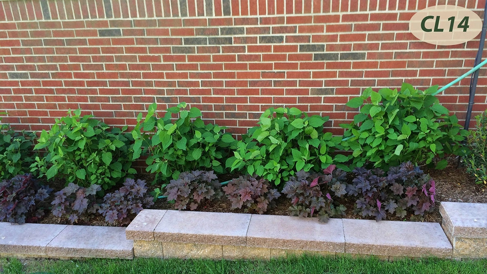 Complete Landscaping by Teddy's Lawn & Landscape - Photo 16