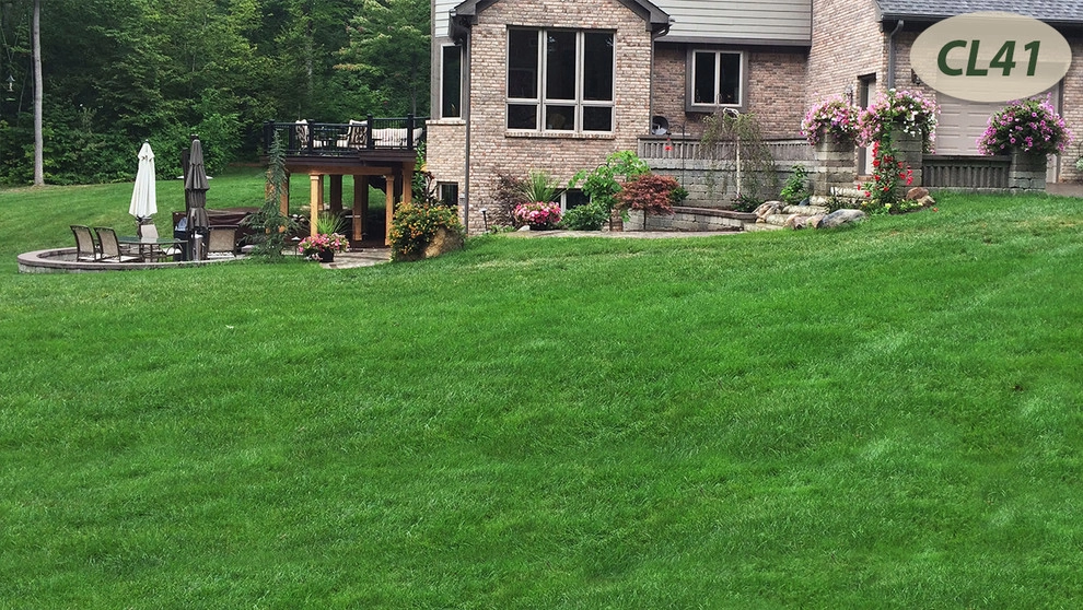 Complete Landscaping by Teddy's Lawn & Landscape - Photo 27
