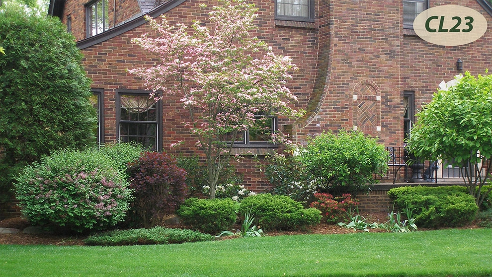 Complete Landscaping by Teddy's Lawn & Landscape - Photo 2