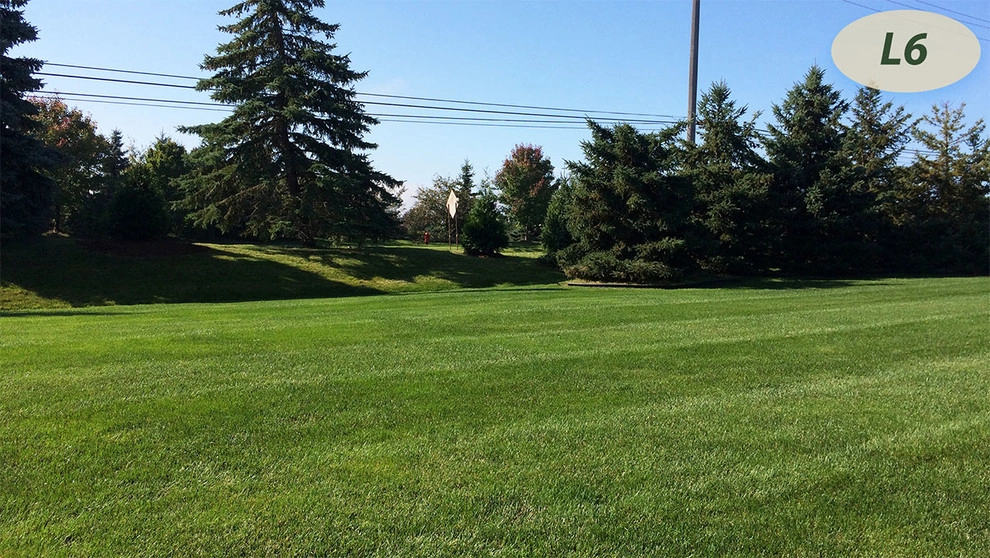Lawn Care by Teddy's Lawn & Landscape - Photo 10