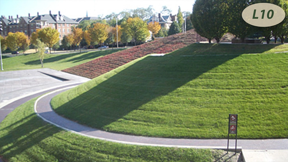 Lawn Care by Teddy's Lawn & Landscape - Photo 13