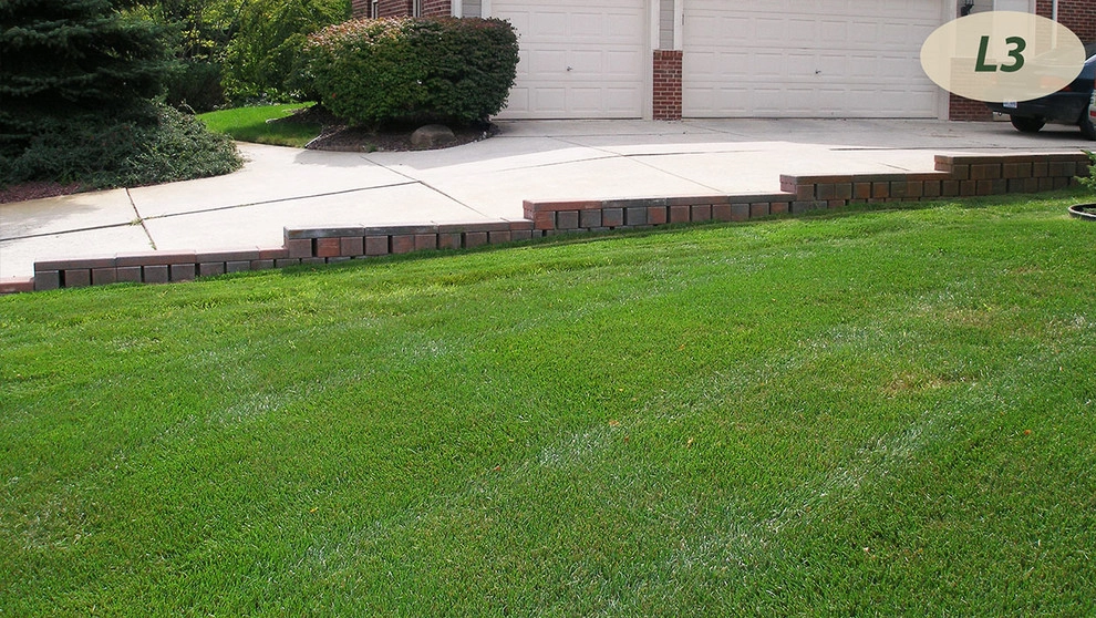 Lawn Care by Teddy's Lawn & Landscape - Photo 11