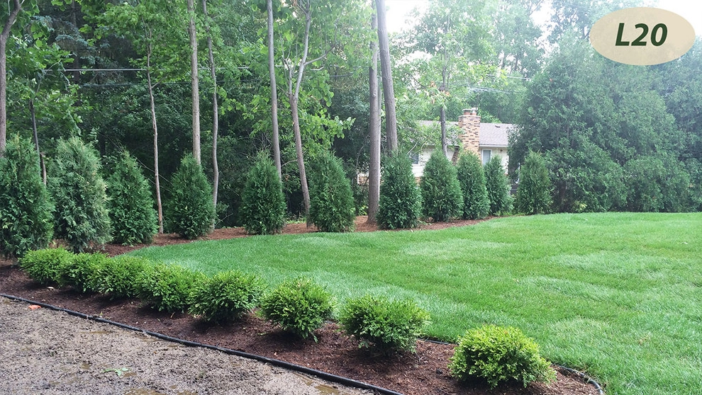 Lawn Care by Teddy's Lawn & Landscape - Photo 14