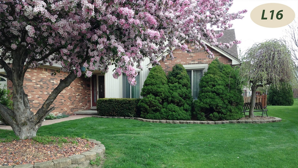 Lawn Care by Teddy's Lawn & Landscape - Photo 17