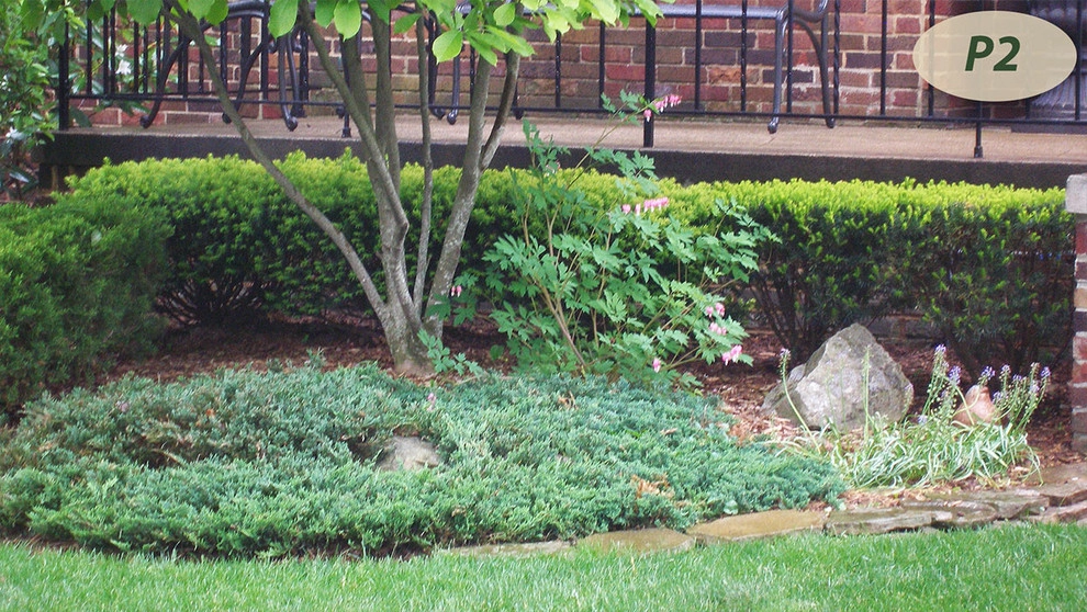 Plantings by Teddy's Lawn & Landscape - Photo 13
