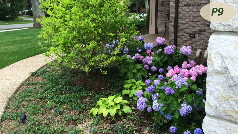 Plantings by Teddy's Lawn & Landscape - Photo 8